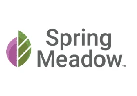Spring-Medow