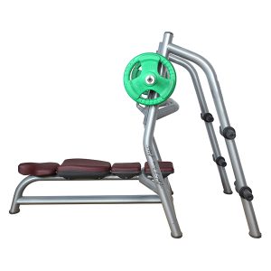 Decline Bench Press Machine – Commercial Chest Press Station with Olympic Plate Holders - OFB- 001