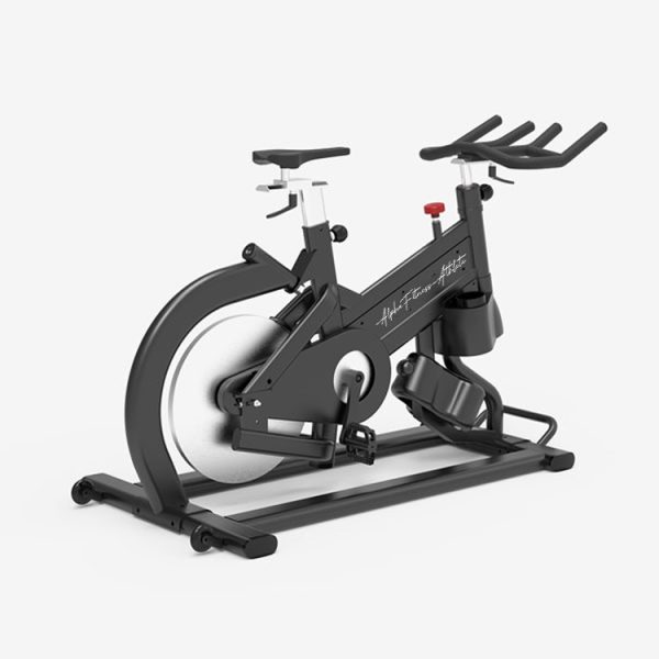 Magnetic Spin Bike for Home Workout & Indoor Cardio Training - RBS-002