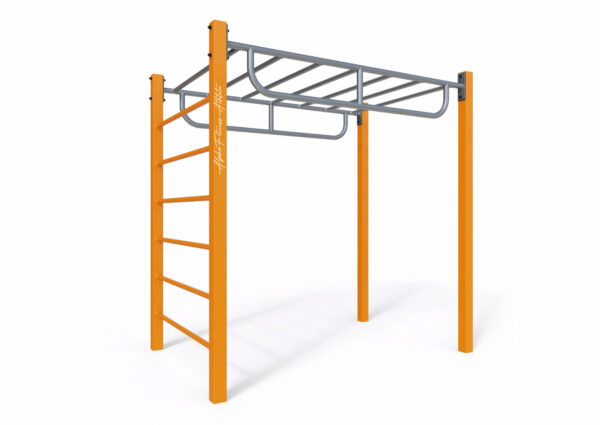 Outdoor Compact Monkey Bar for Park Gym – Overhead Ladder Calisthenics & Playground Fitness Equipment – CPE-001