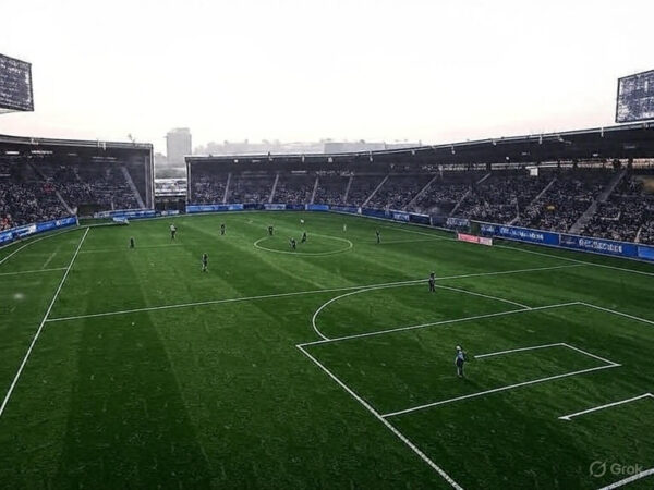 Synthetic Football Turf (FIFA Certified) - Image 4