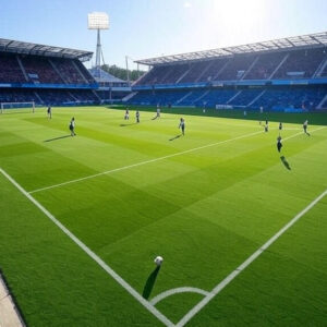 Synthetic Football Turf (FIFA Certified)