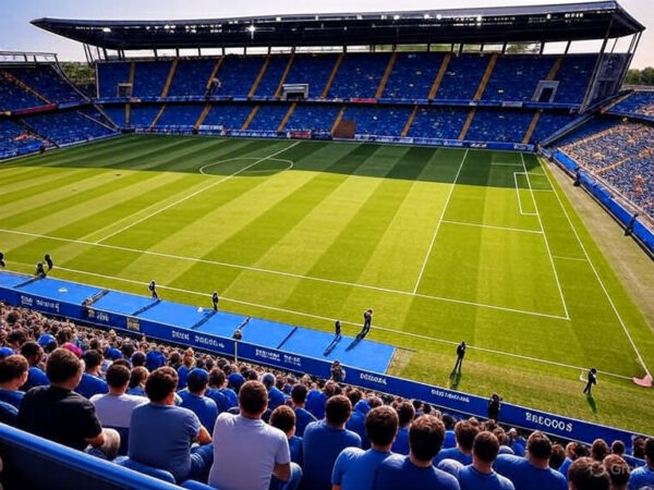 Synthetic Football Turf (FIFA Certified) - Image 3