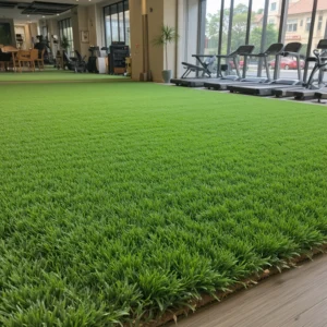 Synthetic Turf (Artificial Grass)