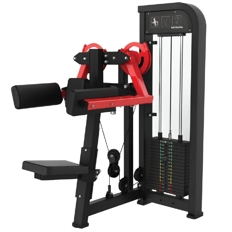 Standing Lateral Raise – SLR-001 | Commercial Strength Training for Shoulder Development